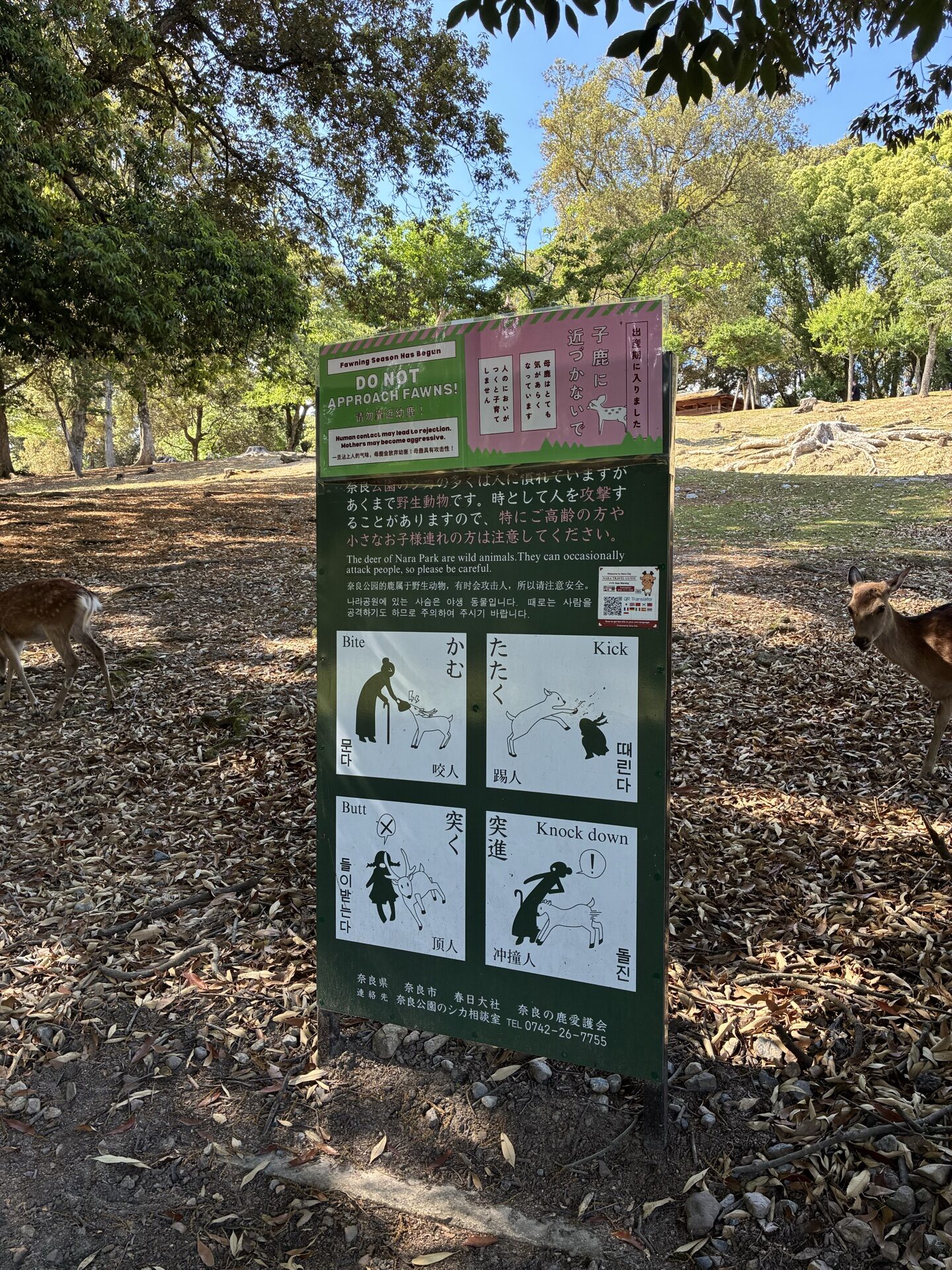 奈良公園の鹿の注意喚起看板