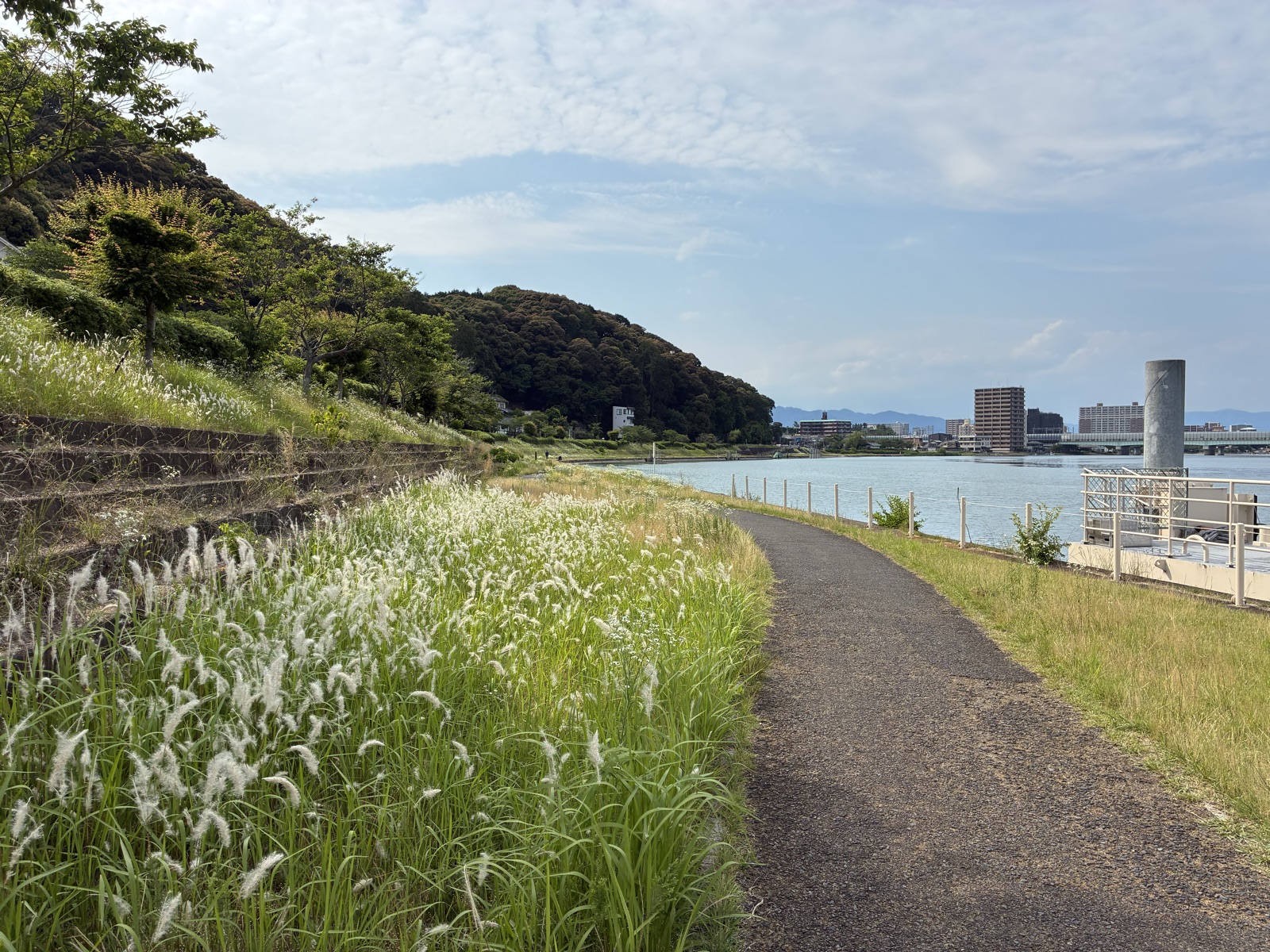 帰り道の瀬田川沿い。この道をのんびり歩いてJR石山駅へ