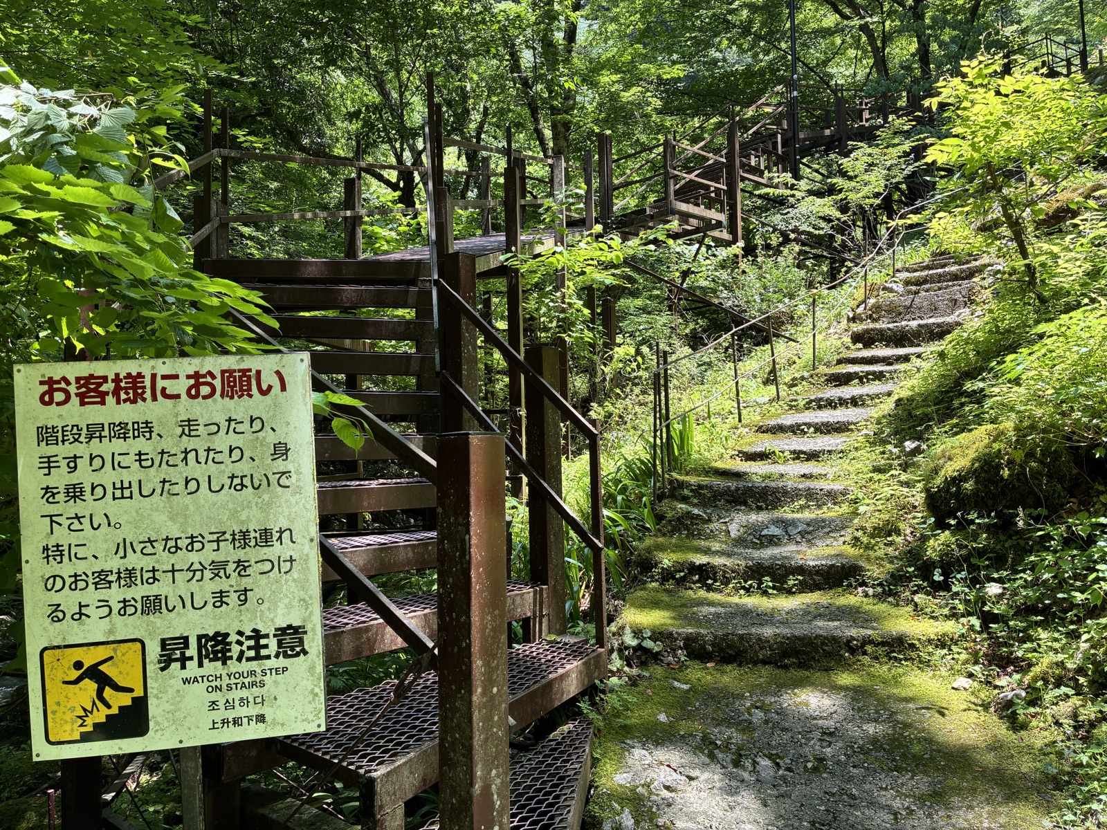 河内風穴の洞内、行きの石段と帰りの下が透ける階段