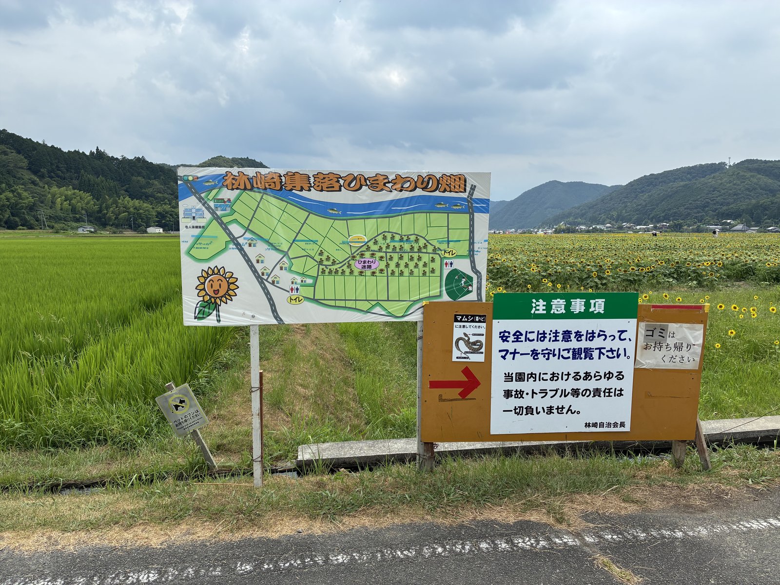 南光ひまわり畑(林崎地区)入口の案内看板と園内マップ