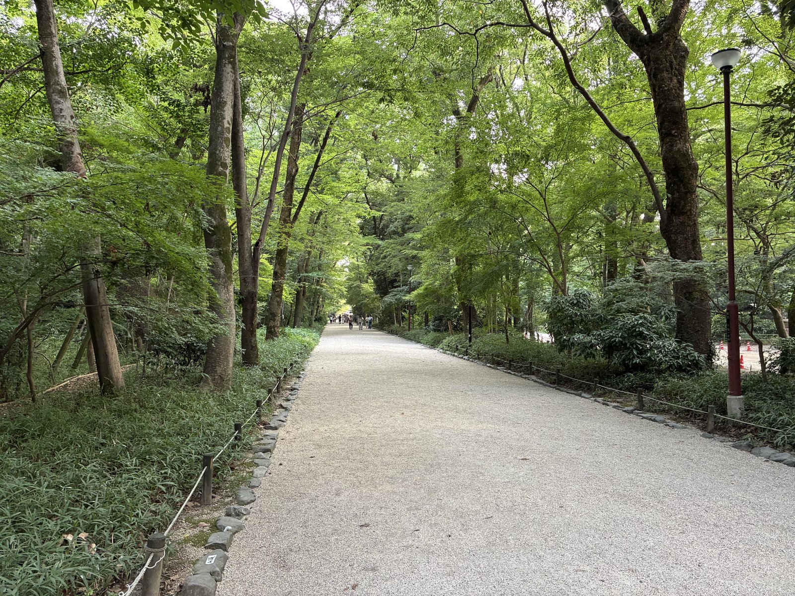下鴨神社 糺の森のまっすぐな参道