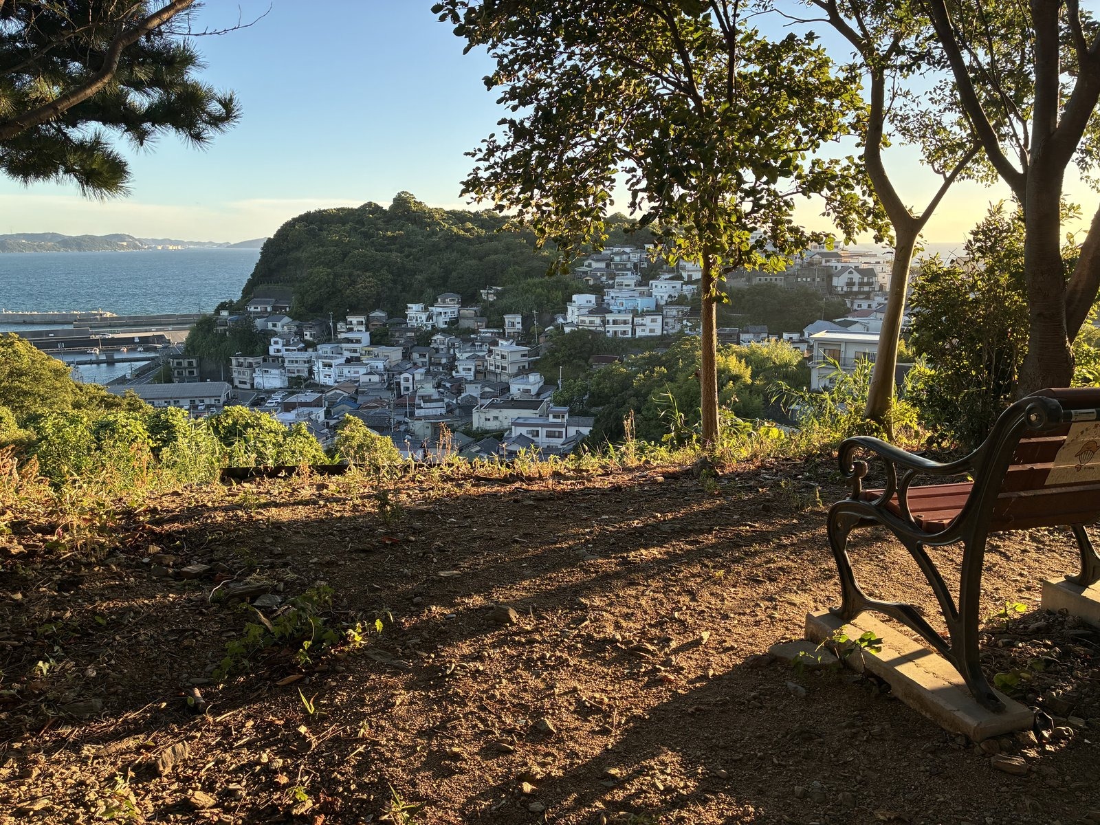 レモンの丘公園から見下ろした雑賀崎の集落と海