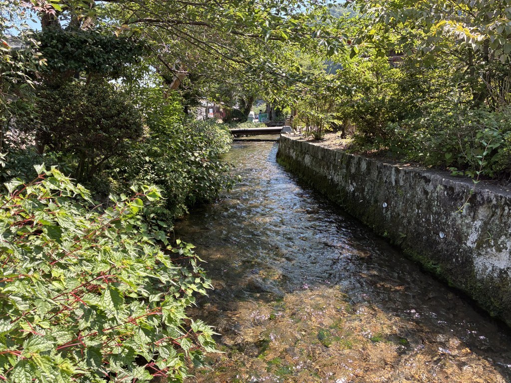 醒井・地蔵川沿いの平坦な散策路