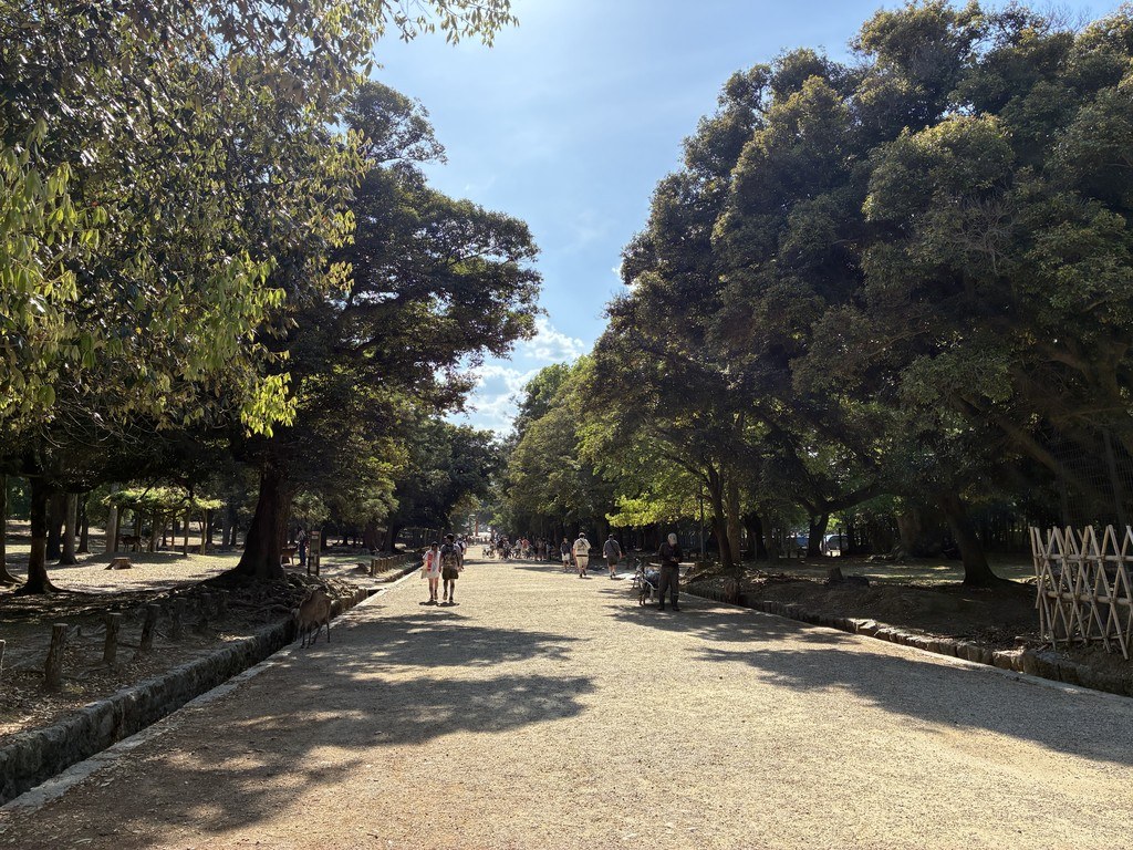 奈良公園の木立の中の広くて平らな道