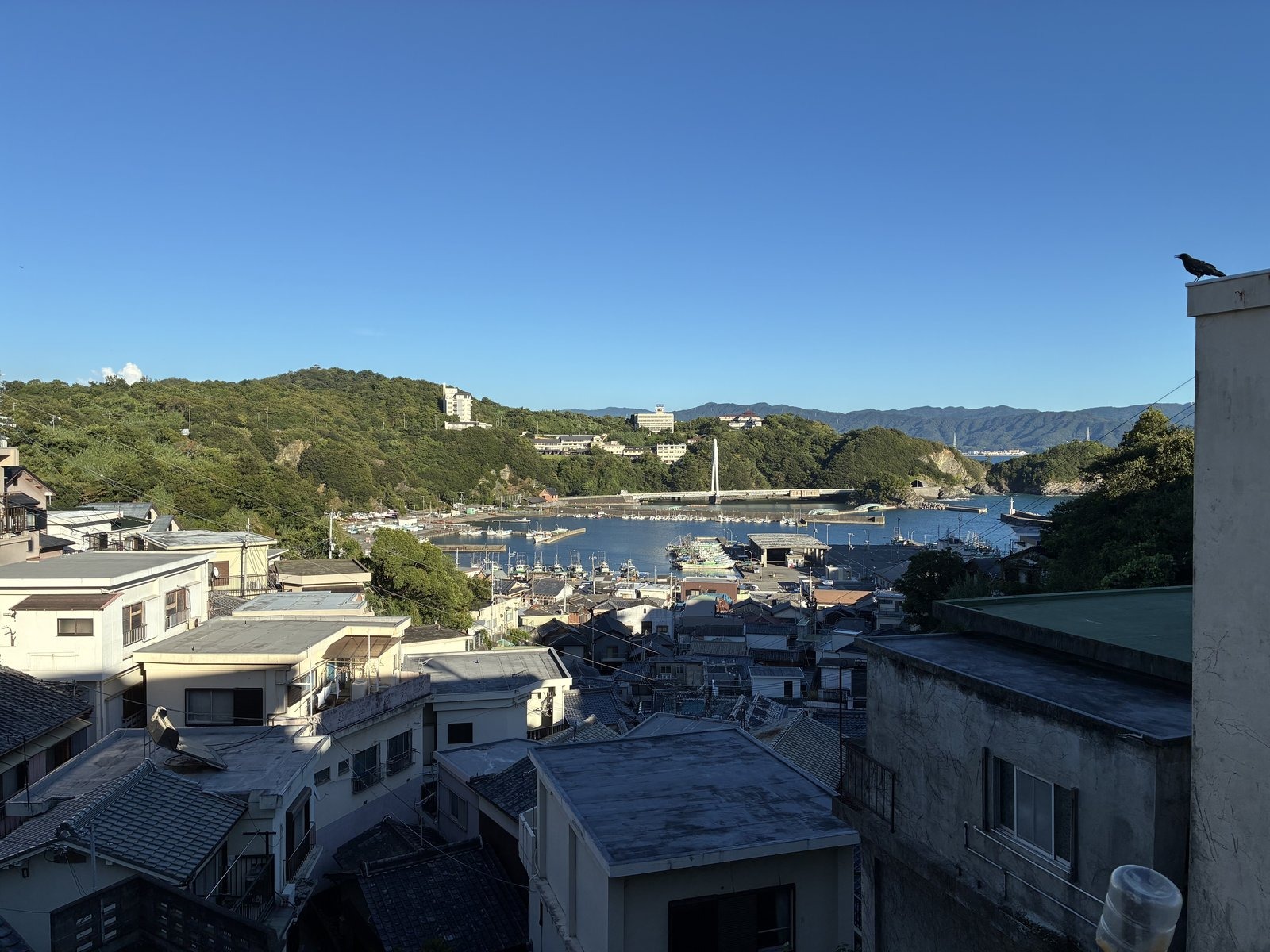 坂道の途中から見えた雑賀崎の集落と漁港