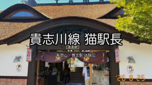 たま駅長はいま何代目｜会える猫は3匹、曜日で行く駅が変わります