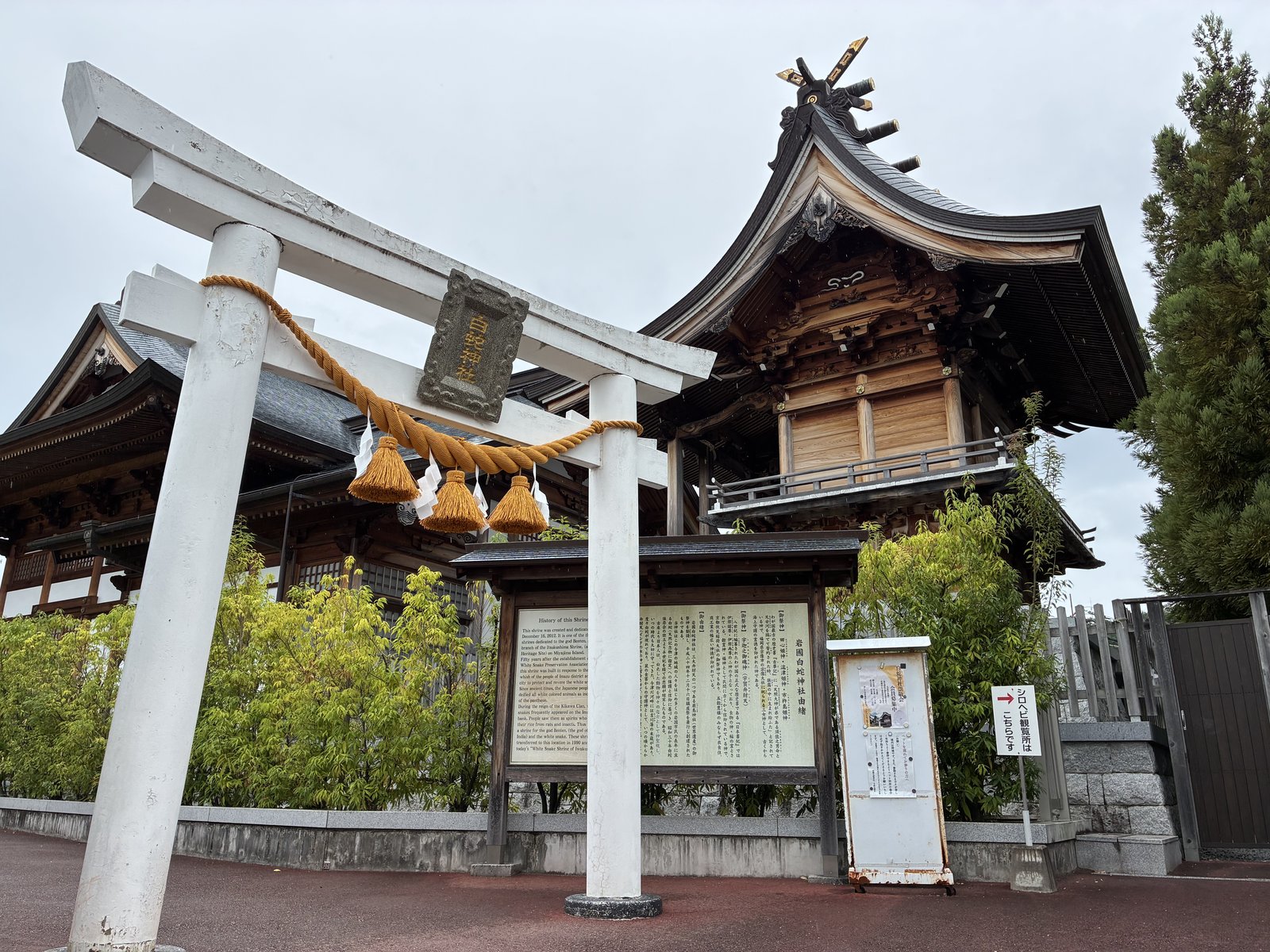 岩國白蛇神社の鳥居と本殿