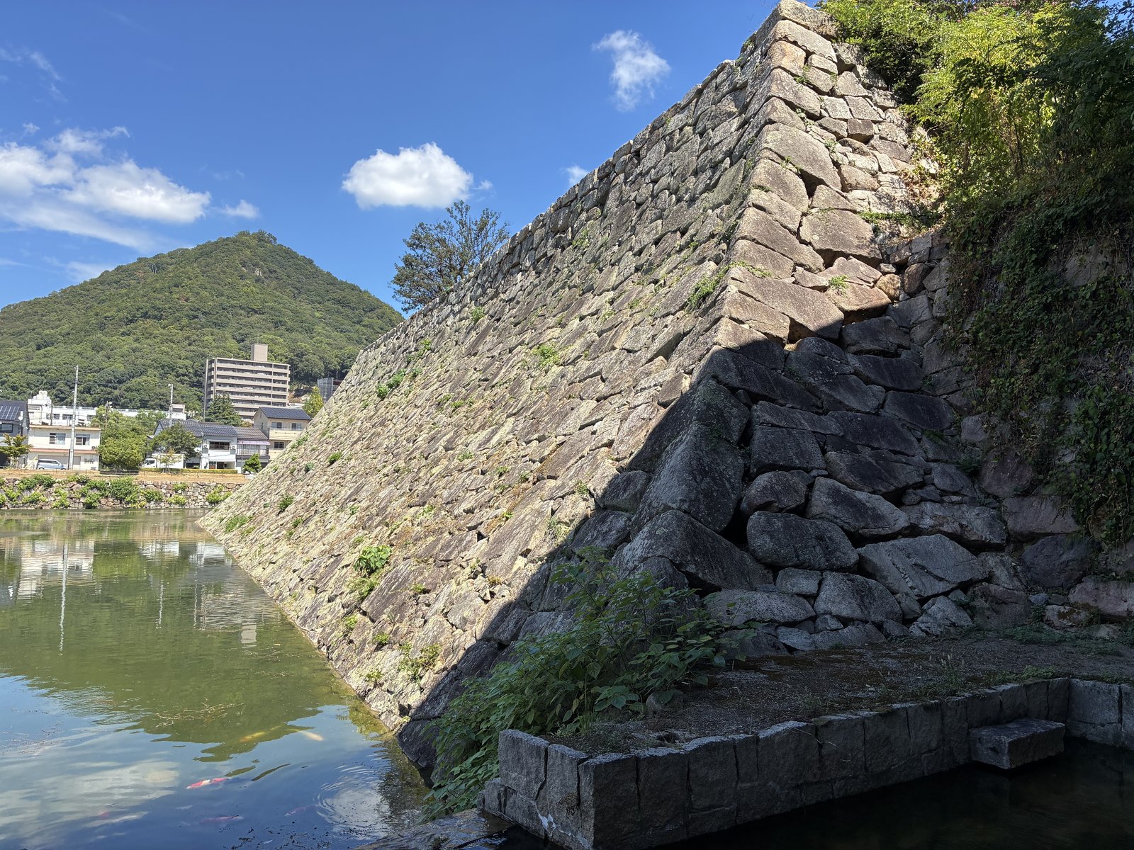 堀の水面に映る三原城跡の石垣