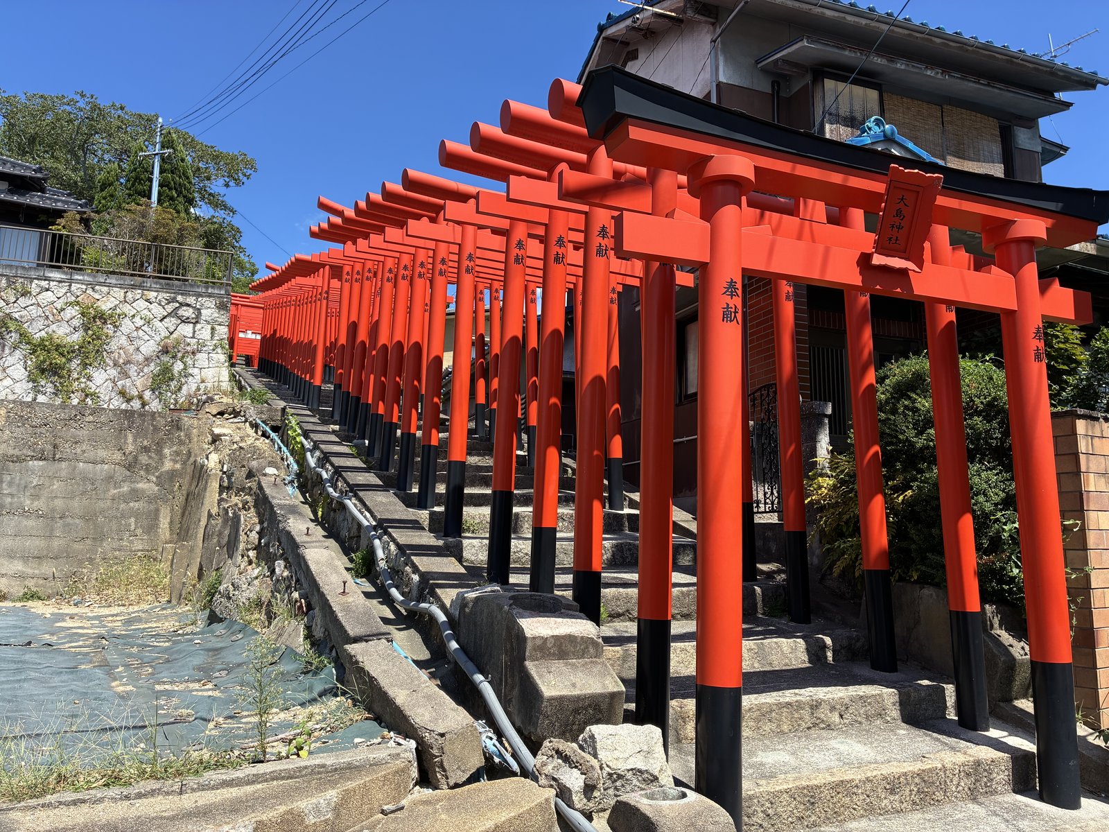 大島神社の連立鳥居。赤い鳥居が石段に沿って並んでいます