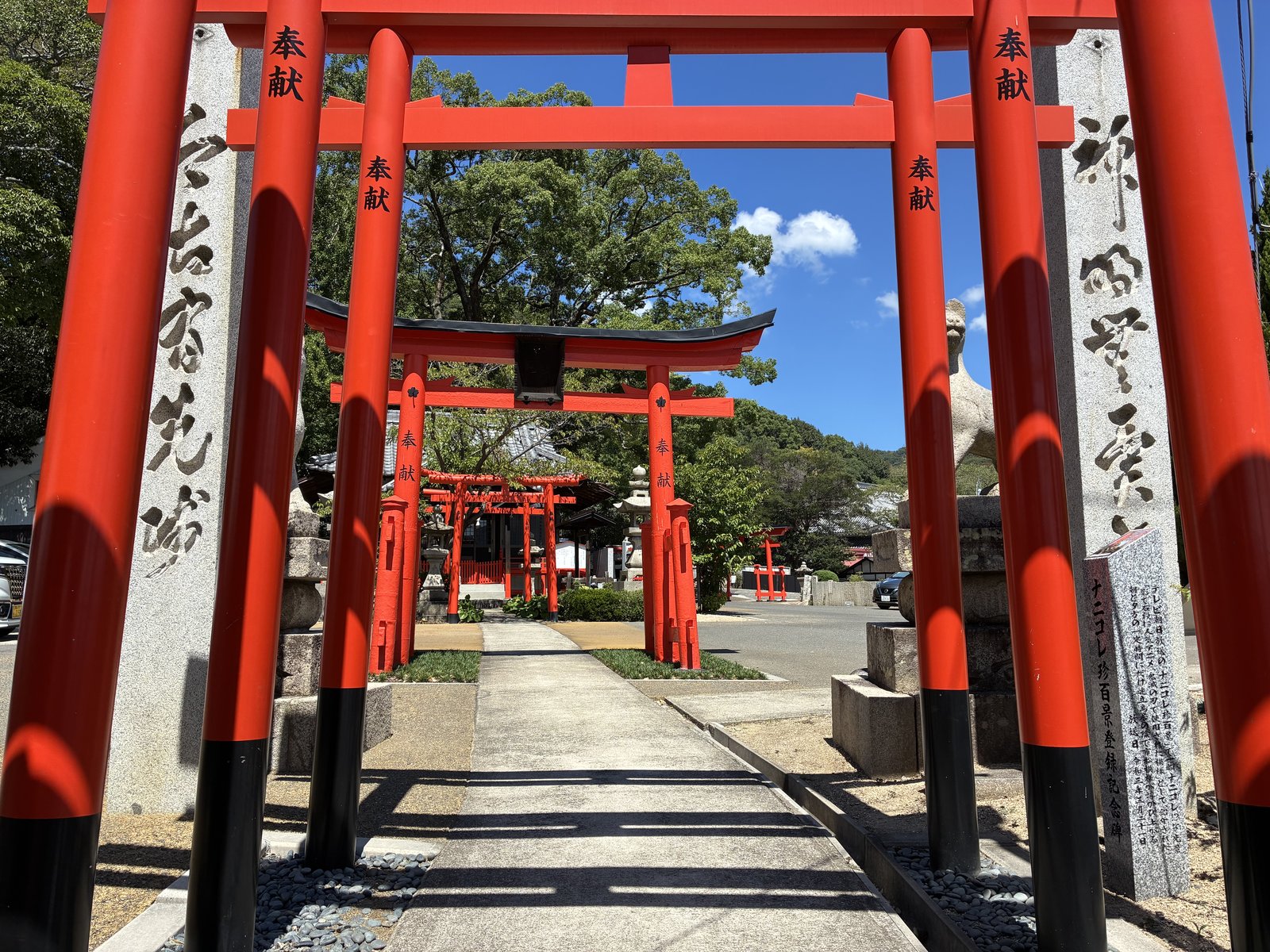 鳥居の下から見上げた石段。奥まで赤が続きます