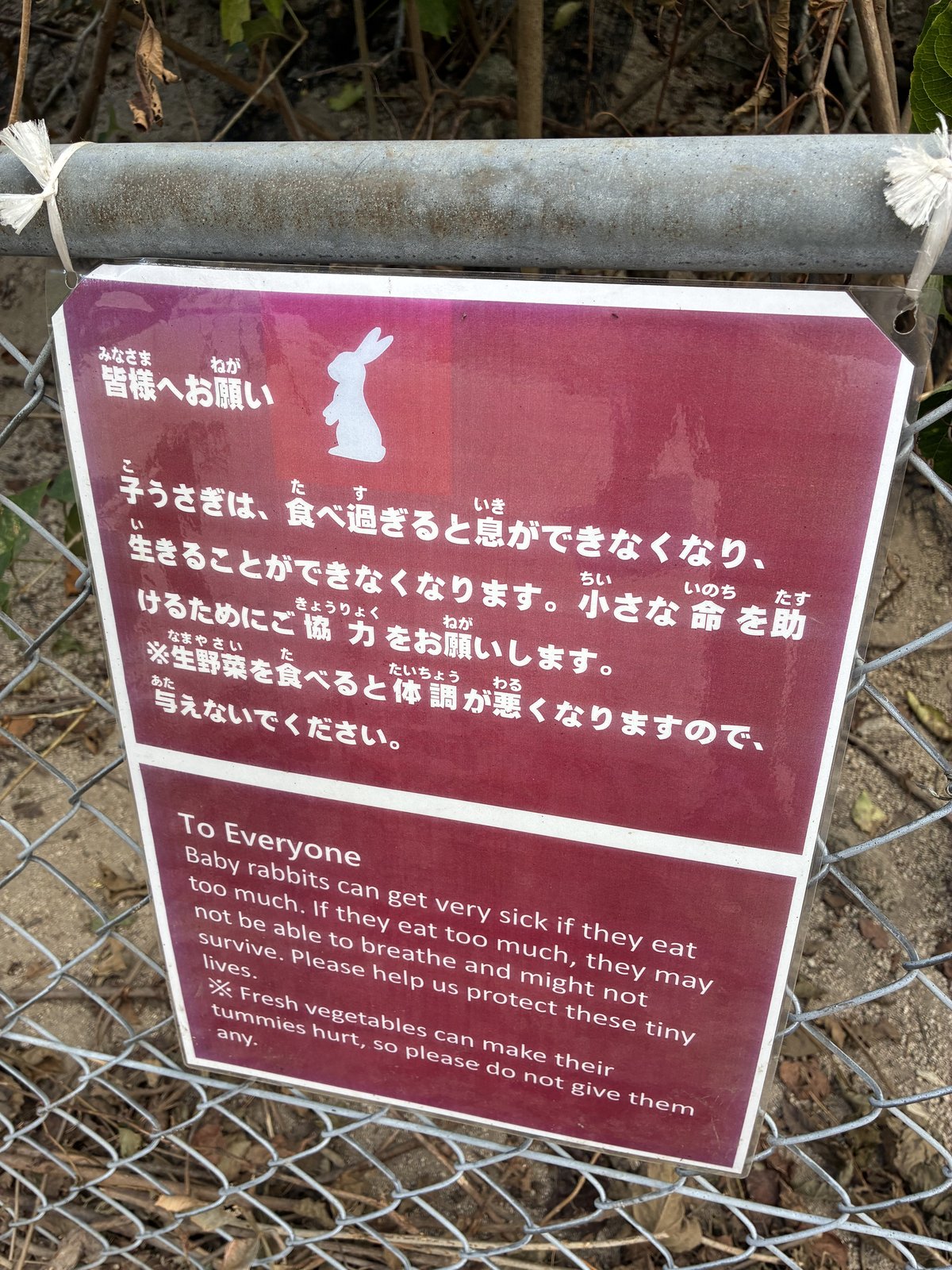 島の柵にあった掲示。生野菜を与えないでくださいと書かれています