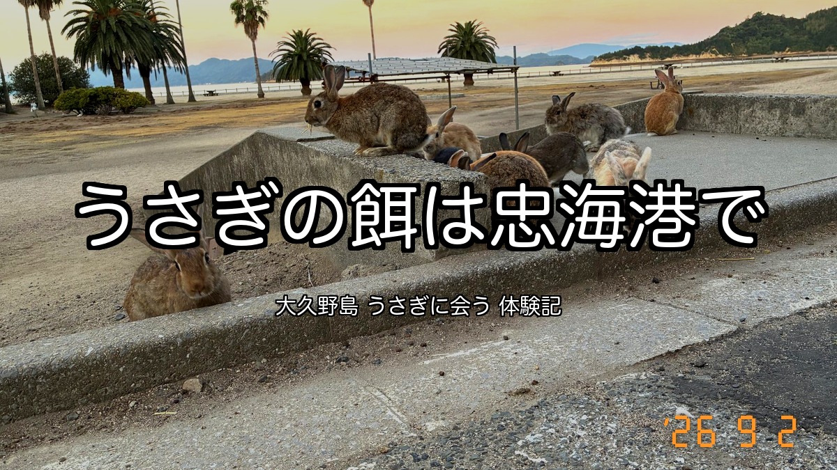 大久野島の広場でくつろぐうさぎたち