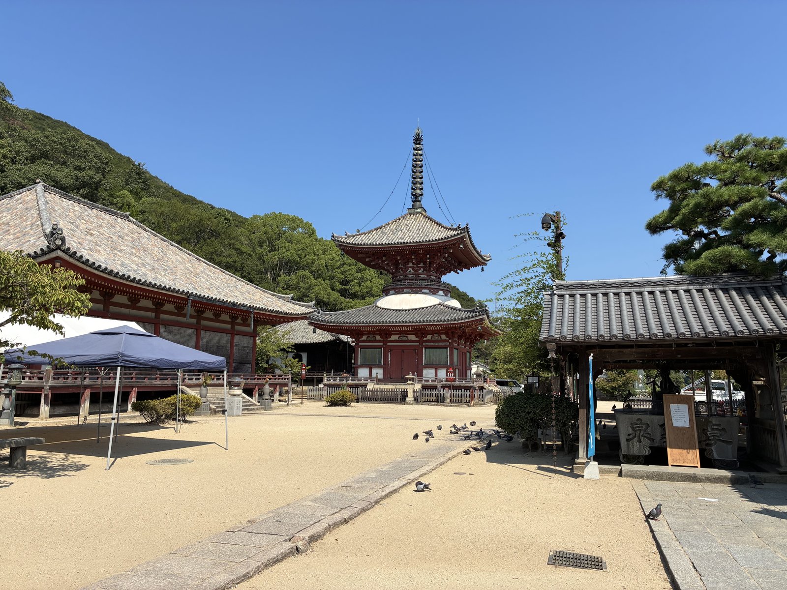 浄土寺の多宝塔。左手が本堂です