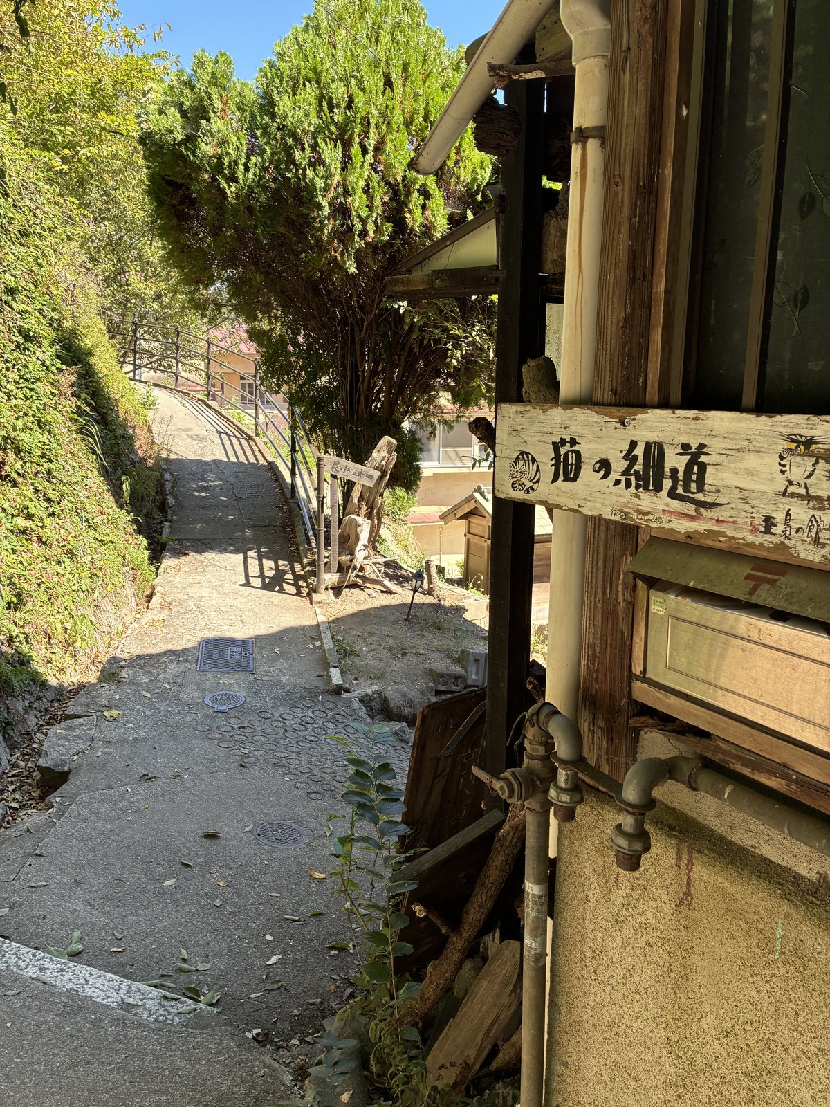 猫の細道の看板