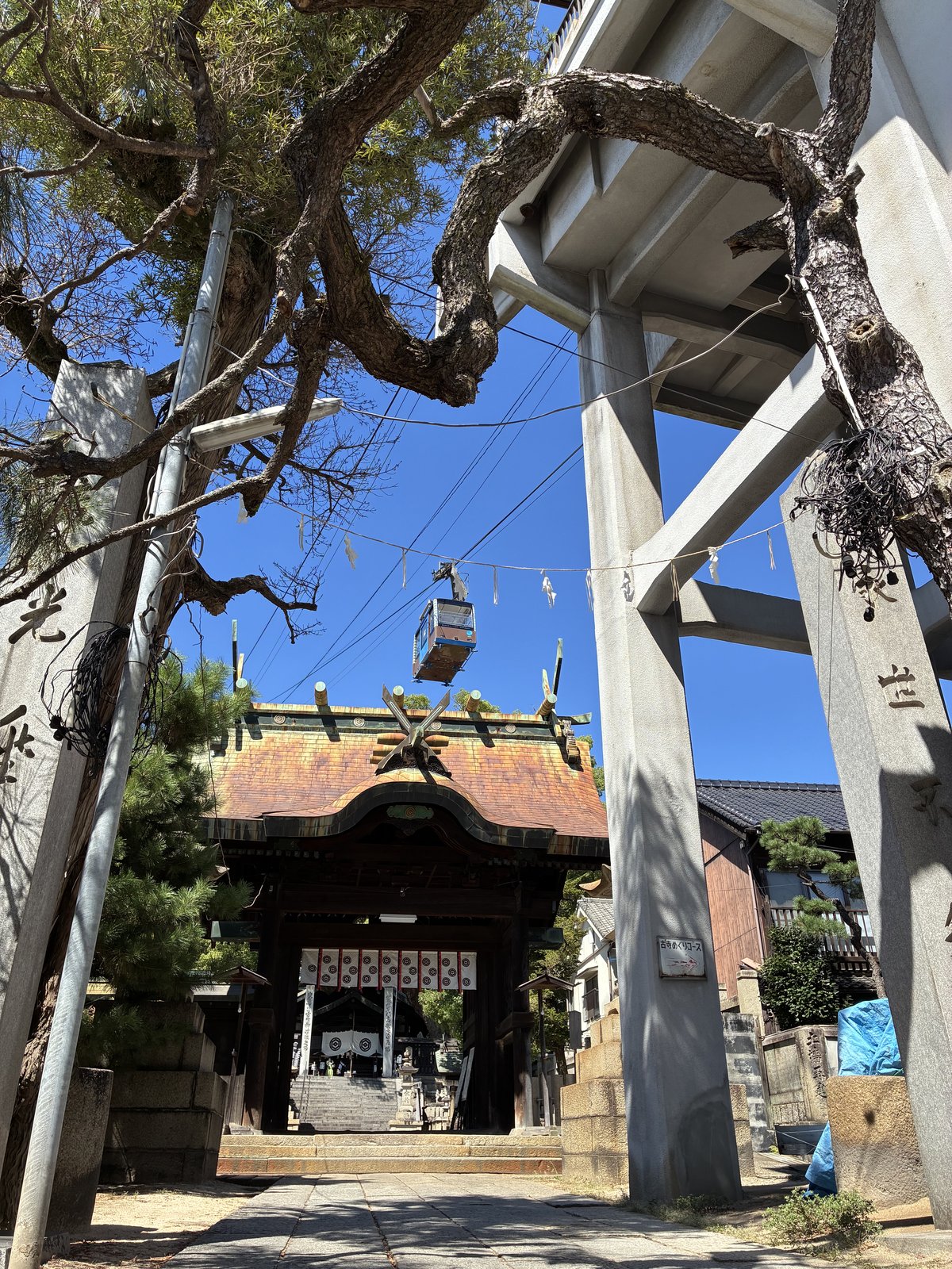 鳥居の向こうをロープウェイが渡っていきます