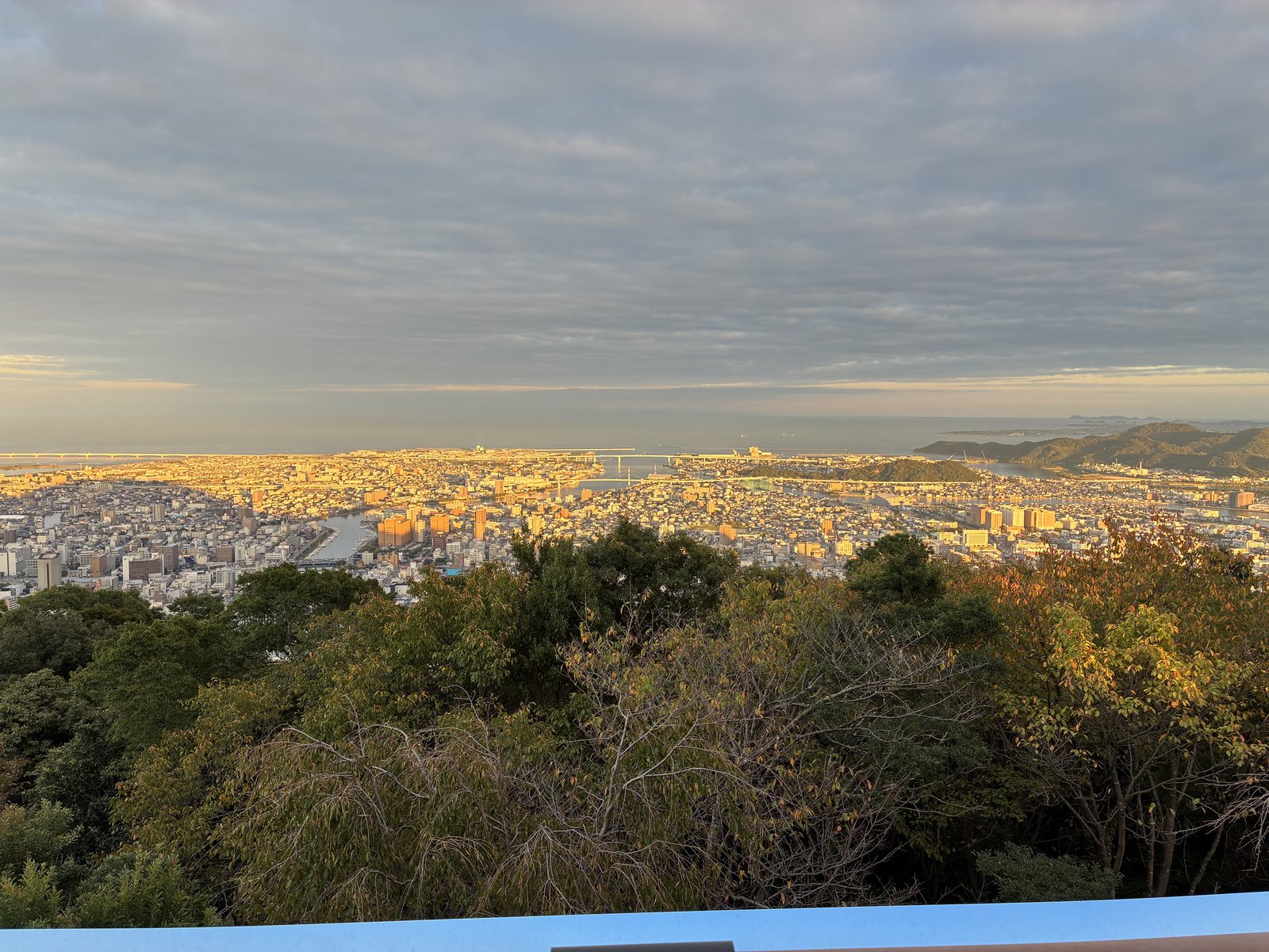 眉山の山頂から見た、夕方の光に染まる徳島の街