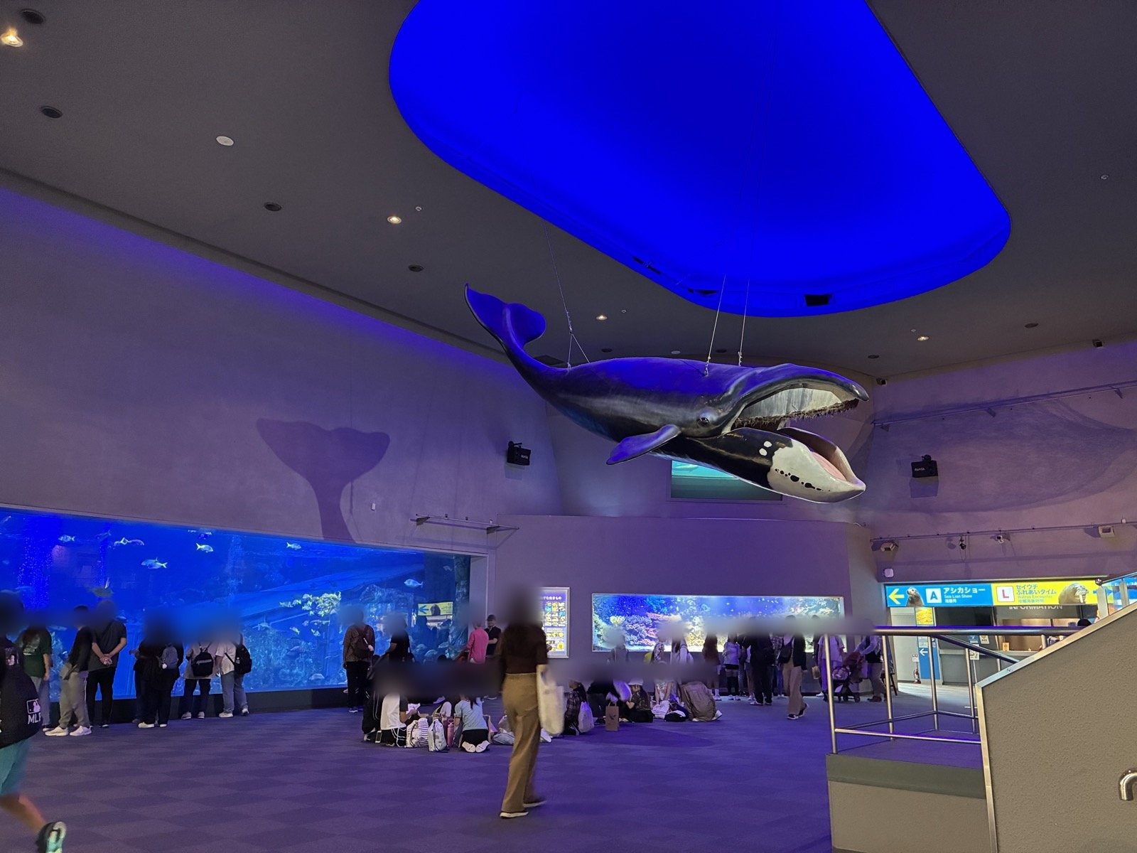 人が集まる鳥羽水族館の入ってすぐのホール
