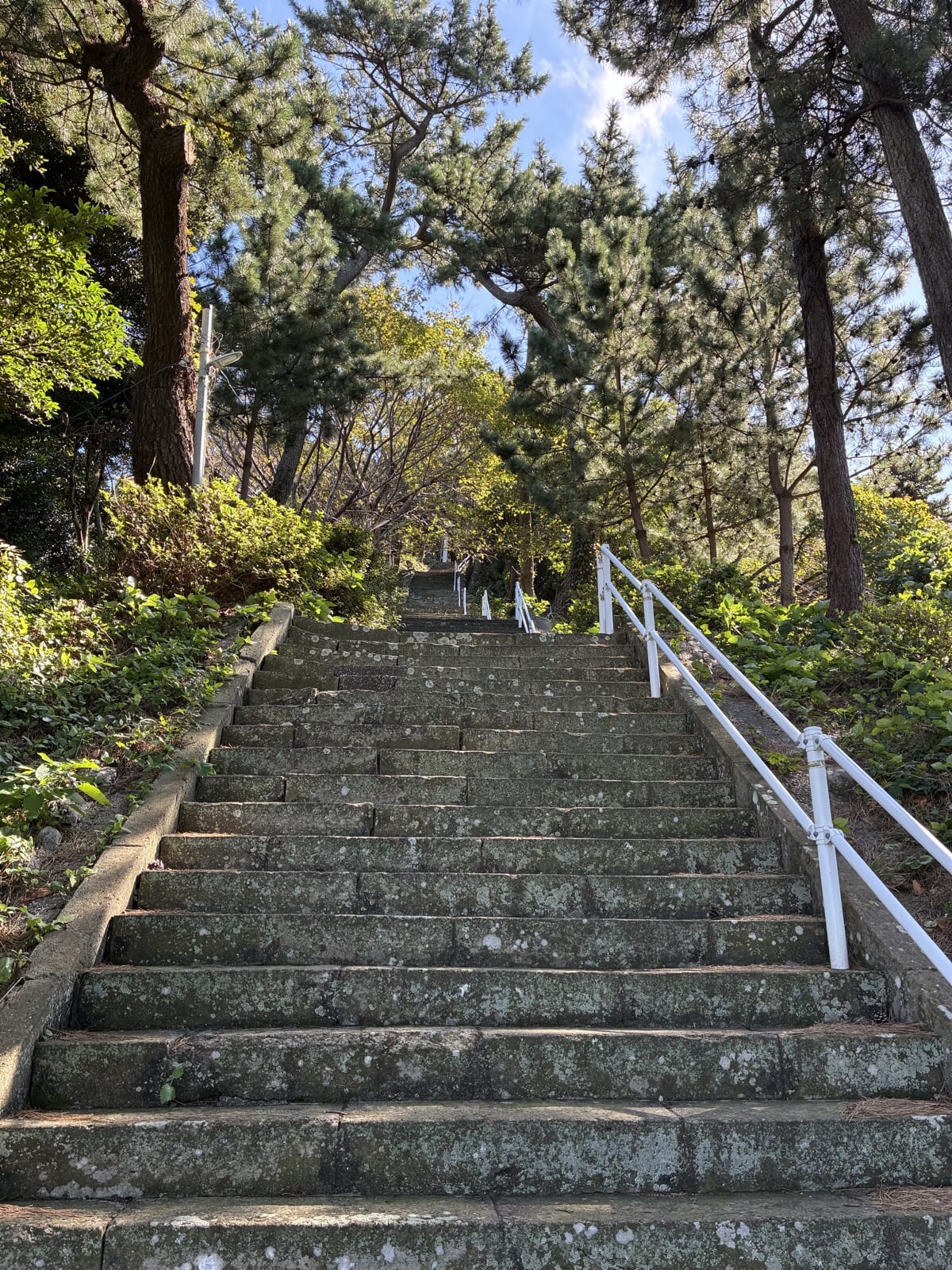 八代神社へ続く長い石段