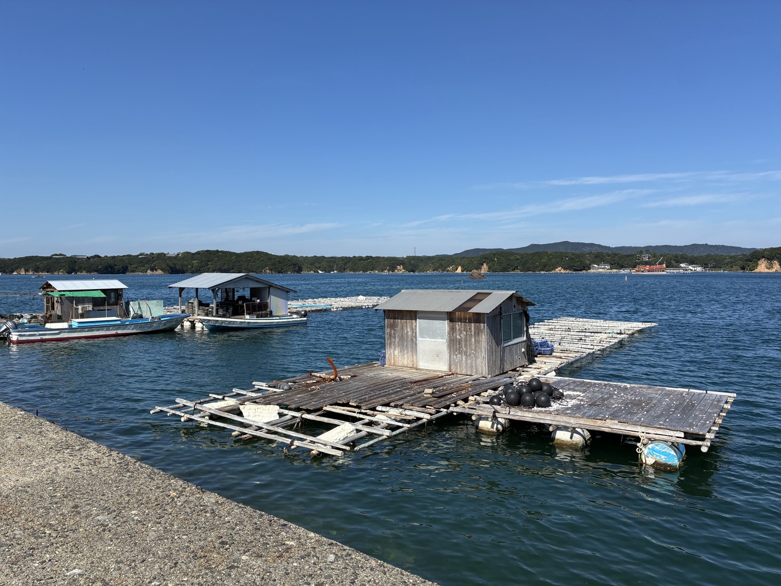 間崎島の港から見たあご湾のいかだ