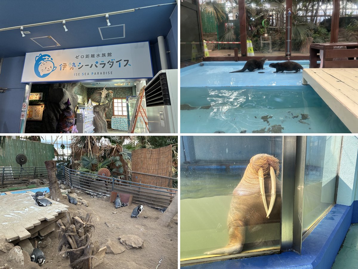 伊勢シーパラダイスの組み写真(入口・カワウソ・ペンギン・セイウチ)
