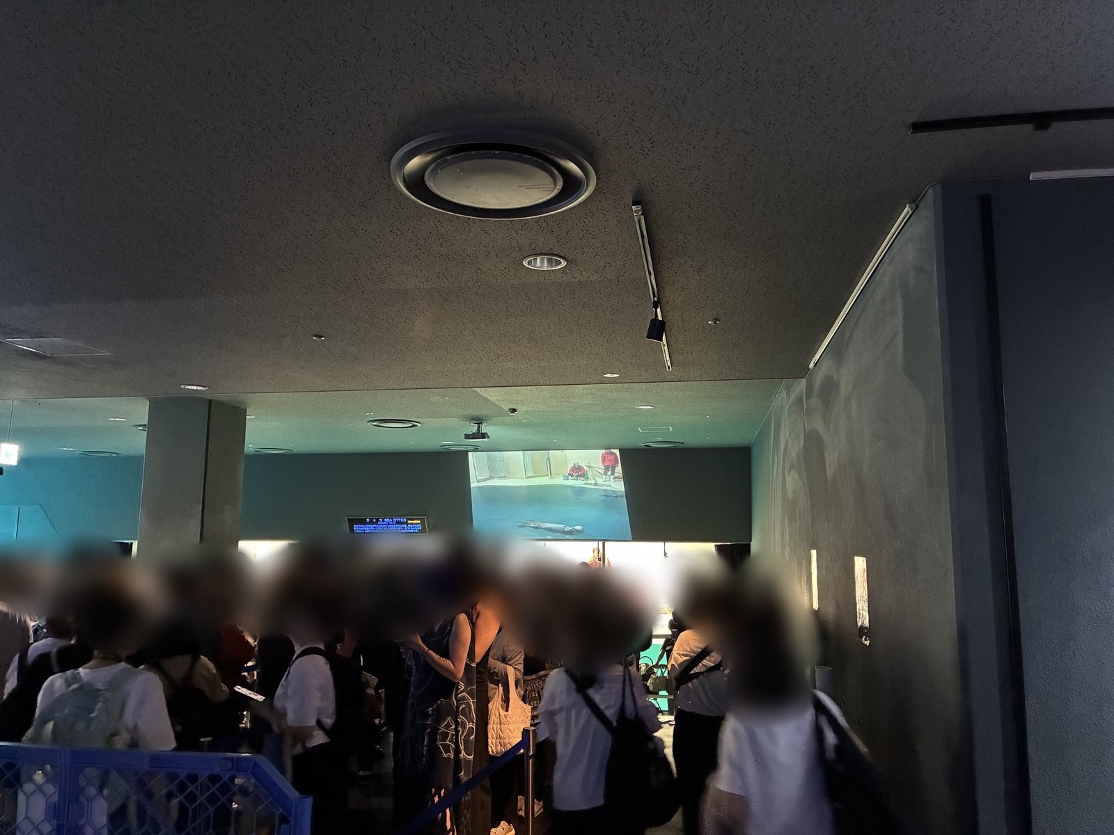 ラッコを見終わった13時すぎ、人で混み合う鳥羽水族館の通路