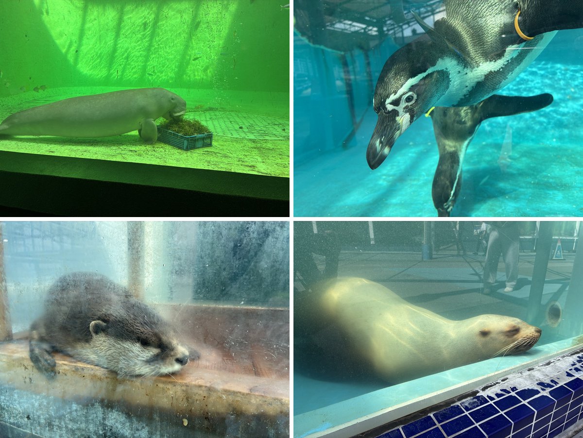 鳥羽水族館のジュゴン・ペンギン・カワウソ・アシカ