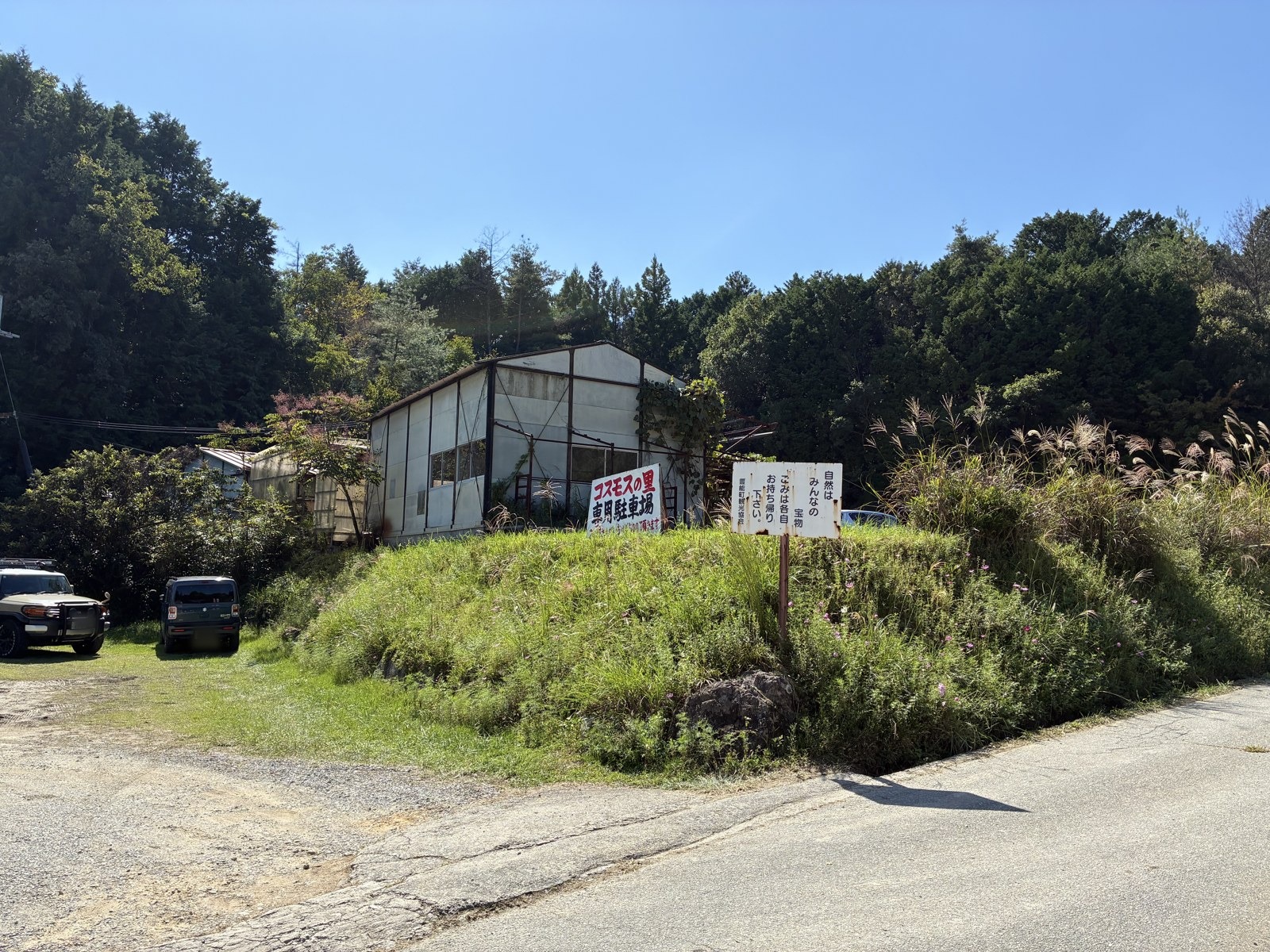 園のそばの駐車場に停まる車