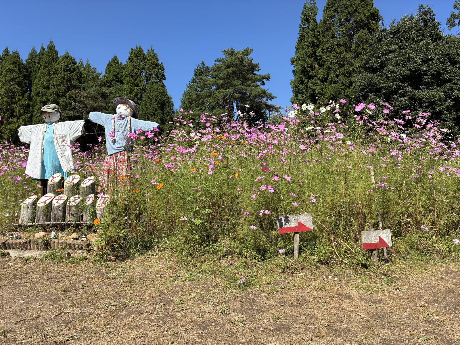 花畑のそばに並ぶかかし